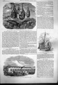 Original Old Antique Print 1861 Flying Foxes Antelope House Wesleyan Chapel