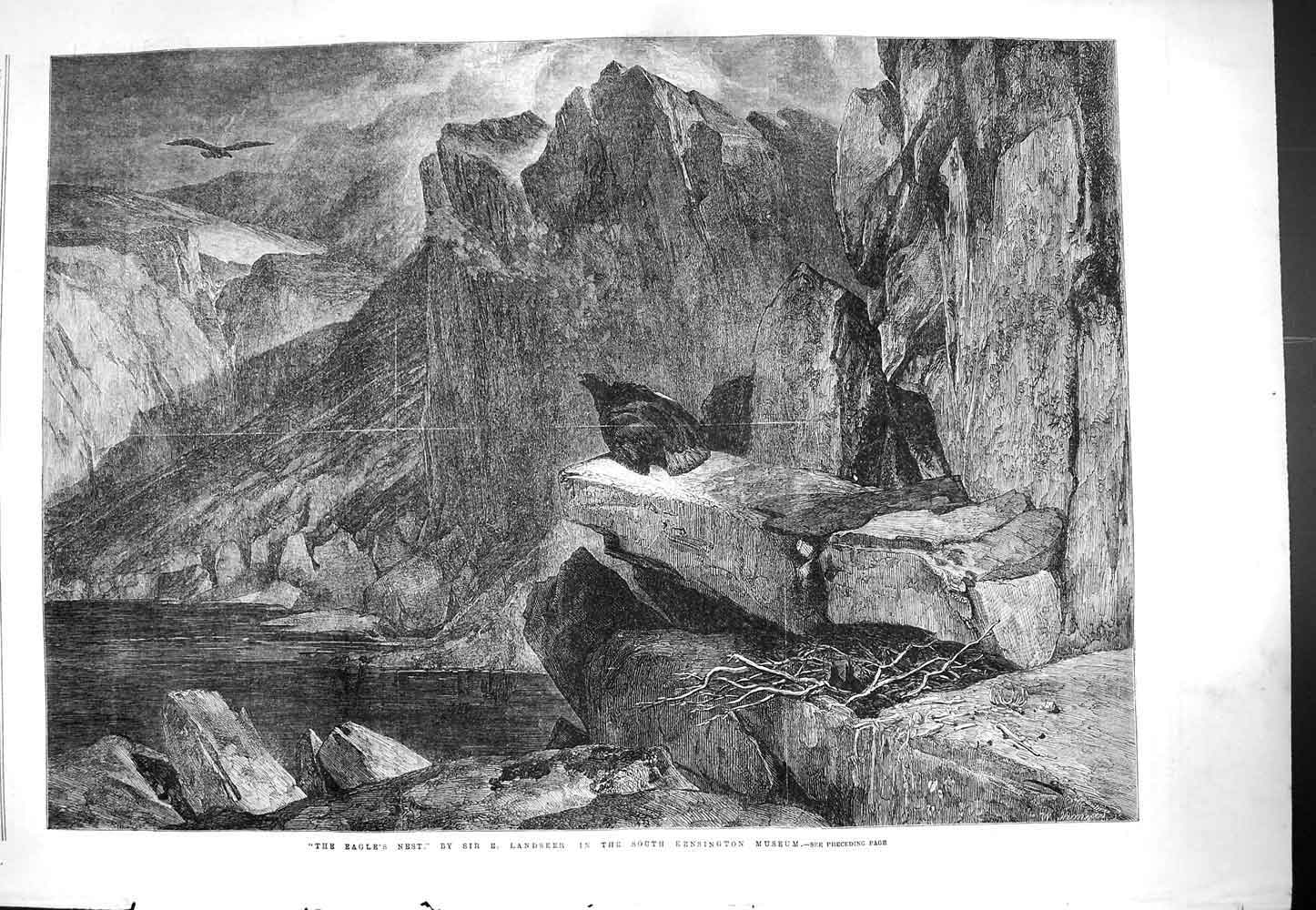 Old Antique Print 1861 Eagle Neat Mountains Cliffs Bird Prey Landseer Art 19th