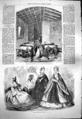 Original Old Antique Print 1861 Paris Fashion Dresses Cattle Italian Florence