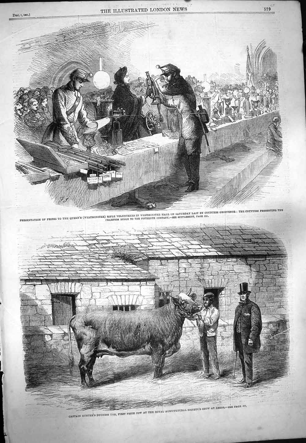 Original Old Antique Print 1861 Captain Gunter Duchess Cattle Leeds Westminster