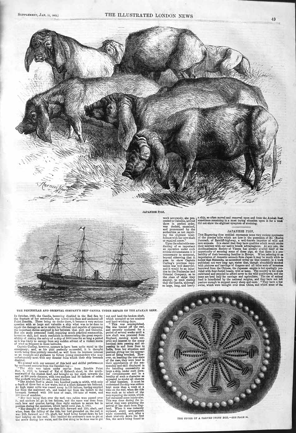 Original Old Antique Print 1862 Japanese Pigs Ivory Box Peninsular Ship Candia