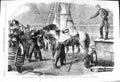 Original Old Antique Print 1862 Canada Shipping Horses Ship Calcutta Woolwich