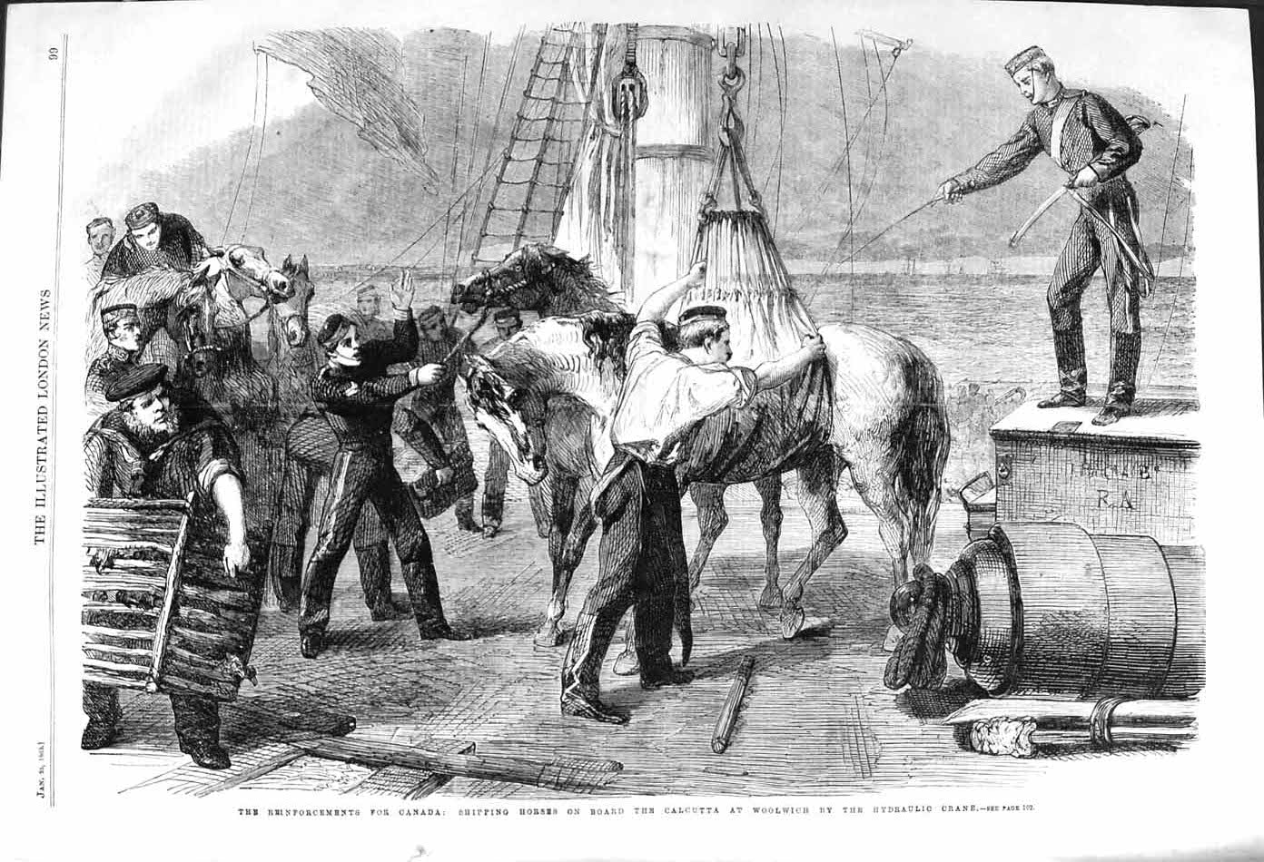 Original Old Antique Print 1862 Canada Shipping Horses Ship Calcutta Woolwich
