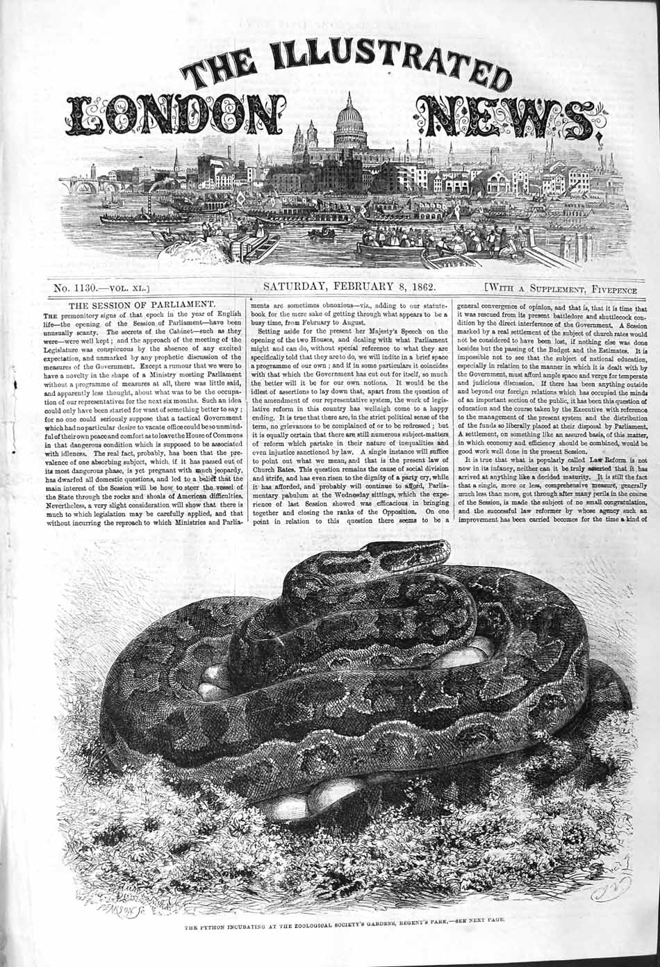 Original Old Antique Print 1862 Python Snake Incubating Zoological Regent 19th