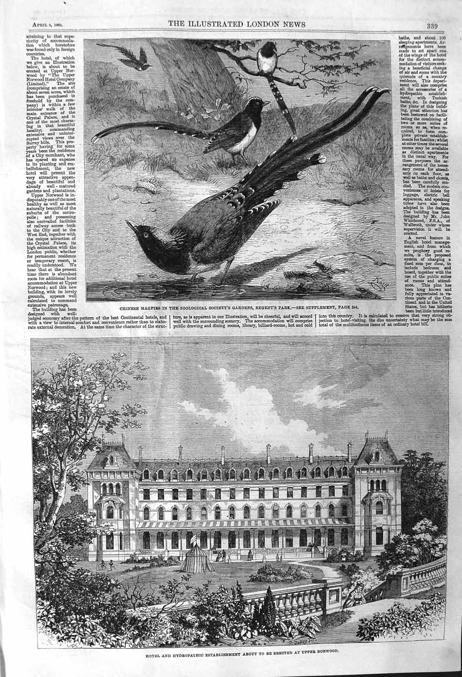 Original Old Antique Print 1862 Hotel Hydropathic Building Norwood Chinese 19th