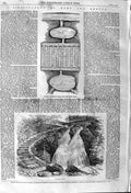 Original Old Antique Print 1862 Salmon Breeding Ponds Stairs River Victorian