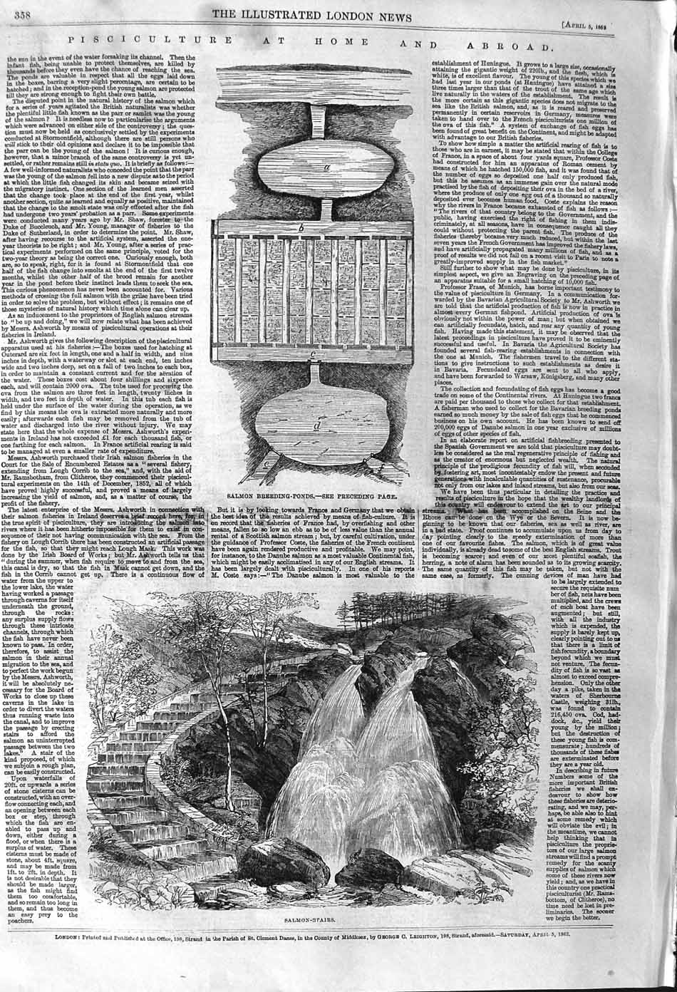Original Old Antique Print 1862 Salmon Breeding Ponds Stairs River Victorian