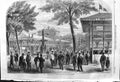 Original Old Antique Print 1862 International Cattle Show Poissy 19th