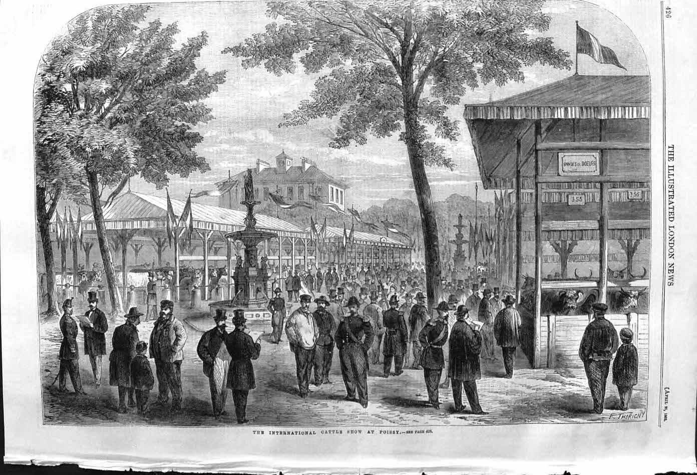 Original Old Antique Print 1862 International Cattle Show Poissy 19th