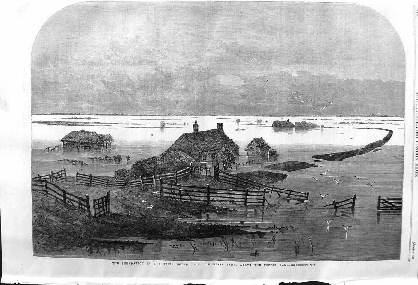 Old Antique Print 1862 Floods Fens Drain Bank Coffer Dam Railway Wisbeach 19th
