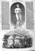 Old Antique Print 1862 Venus Marble Statue Conservatory Ormson Exhibition 19th