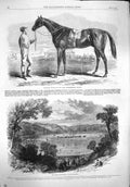 Original Old Antique Print 1862 Jonathas Horse Racecourse Fontainbleau Sport