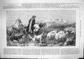 Original Old Antique Print 1862 Tired Sheep Glen Spean Scotland Shepherd Man