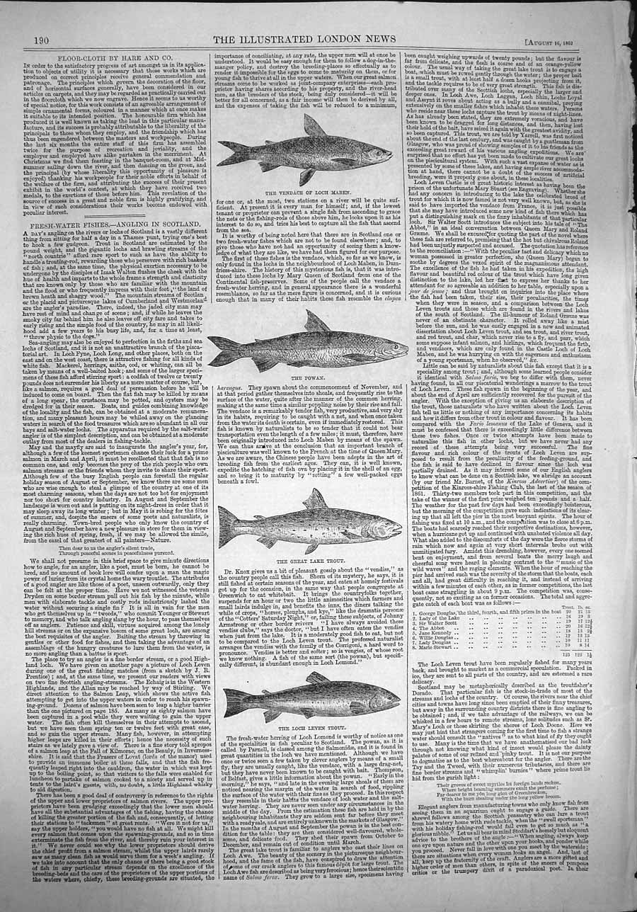Original Old Antique Print 1862 Vendace Lich Maben Trout Fish Powan Loch Leven