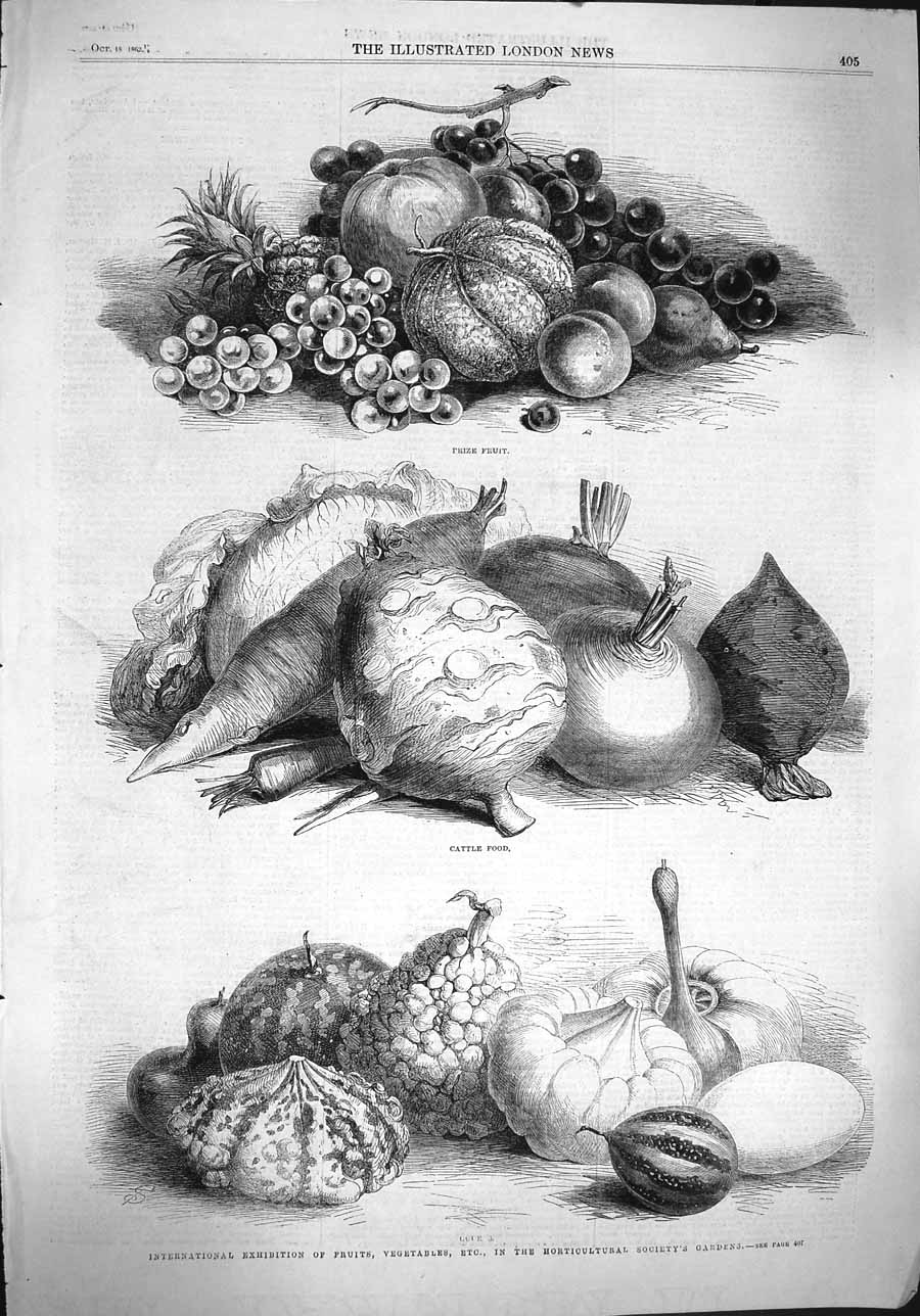 Original Old Antique Print 1862 Fruit Vegetable Horticultural Society Gardens