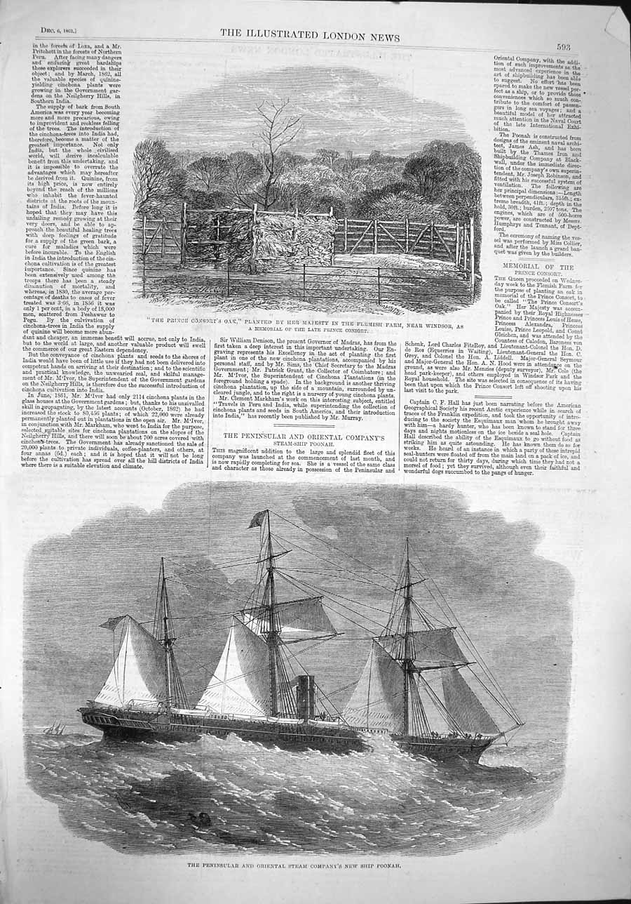 Original Old Antique Print 1862 Prince Consort Oak Tree Windsor Ship Poonah