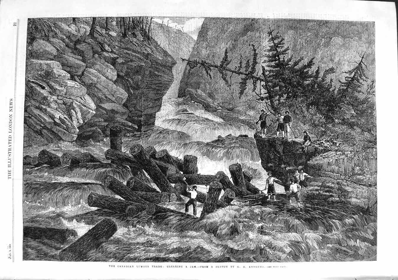 Original Old Antique Print 1863 Canadian Lumber Trade Logs River Trees F 19th