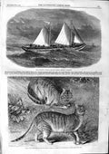 Original Old Antique Print 1863 Liverpool Tubular Life-Boat Rescue Syrian Cats