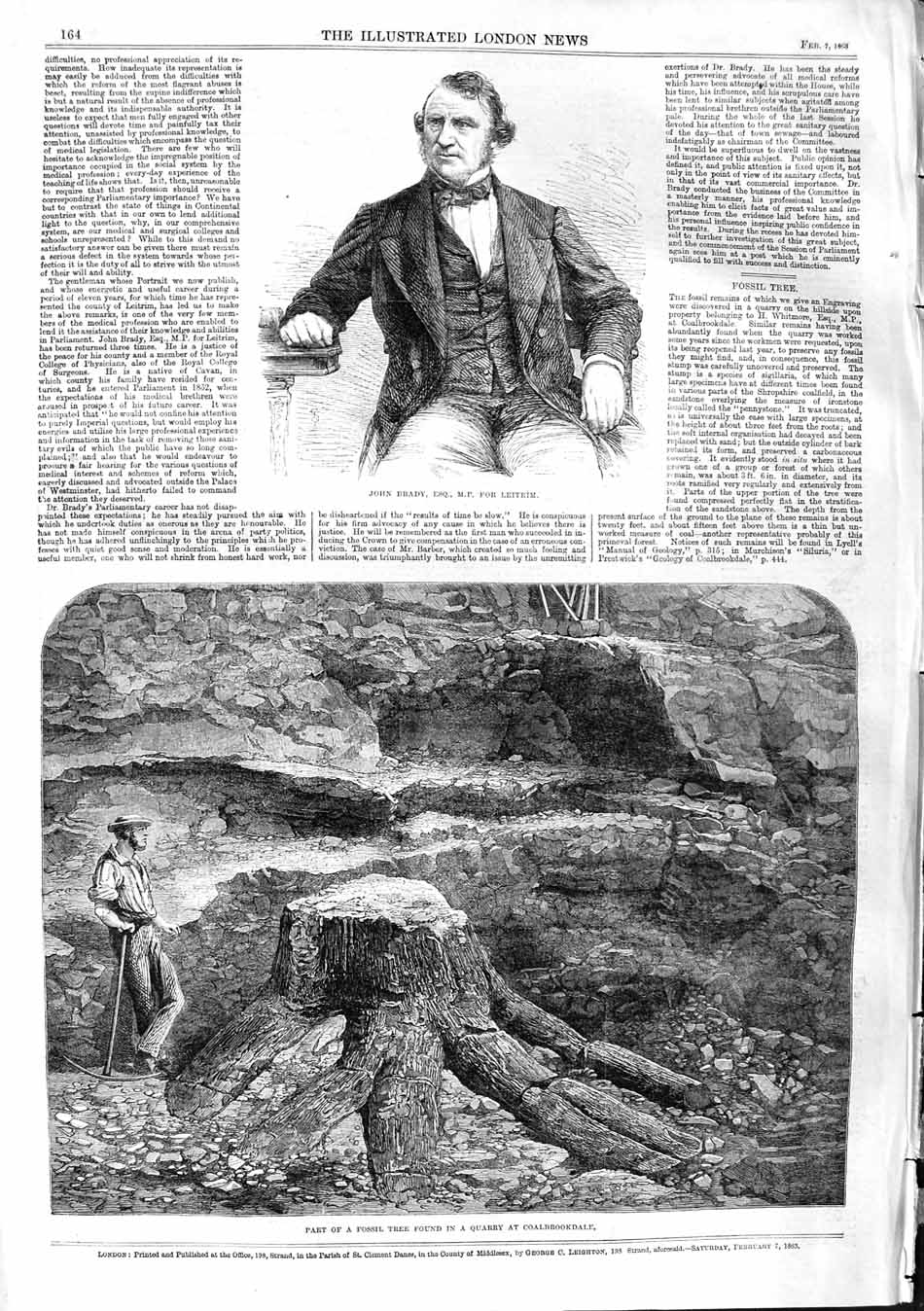 Original Old Antique Print 1863 Brady Leitrim Fossil Tree Quarry Coalbr 19th