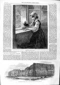 Original Old Antique Print 1863 Cottag Wndow Girl Flowers Chincha Guano Islands