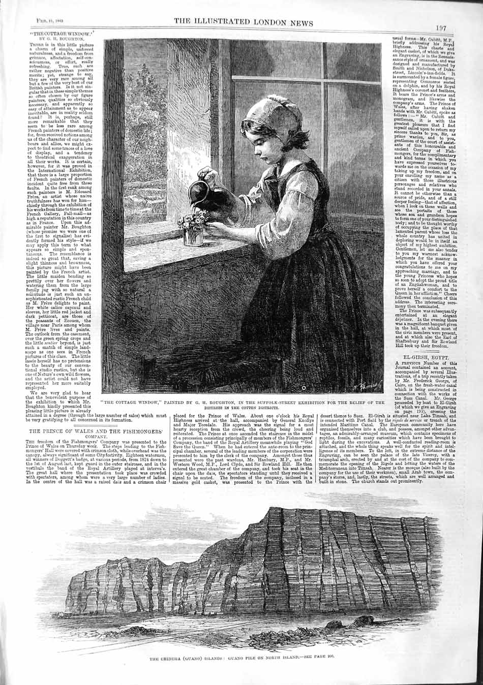 Original Old Antique Print 1863 Cottag Wndow Girl Flowers Chincha Guano Islands