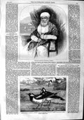Original Old Antique Print 1863 Dossabhoy Sorabjee Moonshee Bombay Magpie Larks