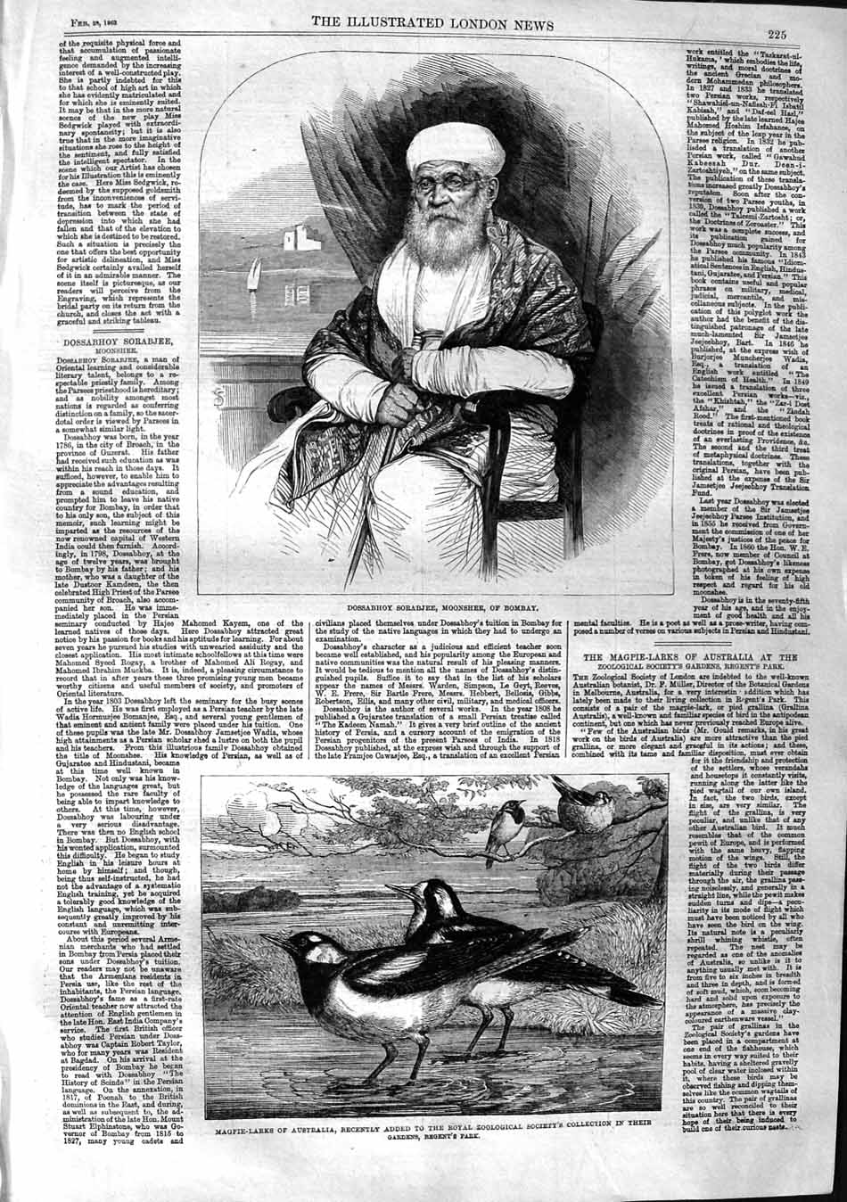Original Old Antique Print 1863 Dossabhoy Sorabjee Moonshee Bombay Magpie Larks
