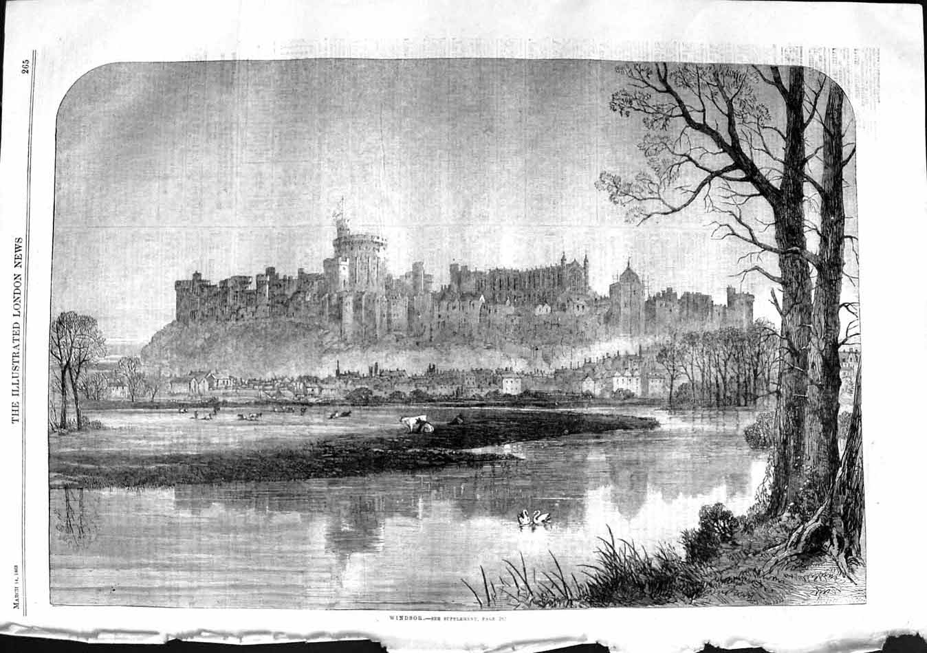 Original Old Antique Print 1863 View Windsor Castle London Cattle River Thames