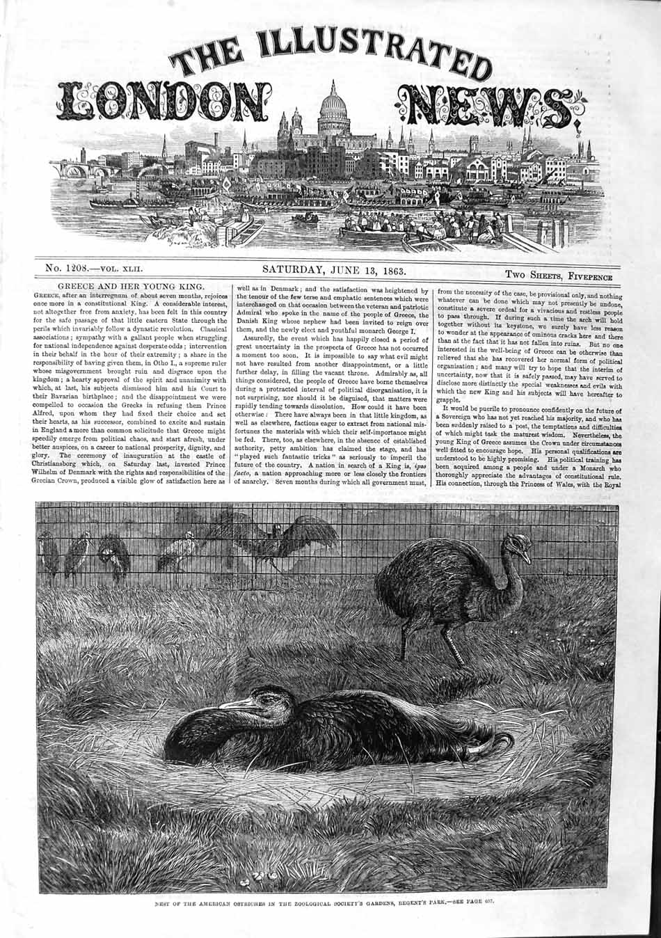 Original Old Antique Print 1863 American Ostriches Zoological Gardens Regent'S