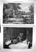 Original Old Antique Print 1863 Wanderer Returned Cat Weir Rest Sheep Farmer