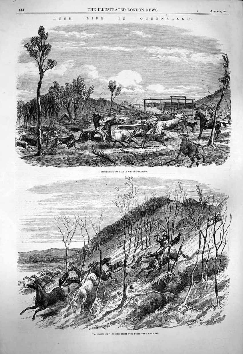 Old Antique Print 1863 Queensland Australia Cattle Station Native Police 19th