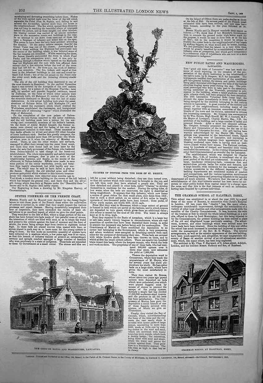 Old Antique Print 1863 Cluster Oysters St. Brieux Gregsons Baths School 19th