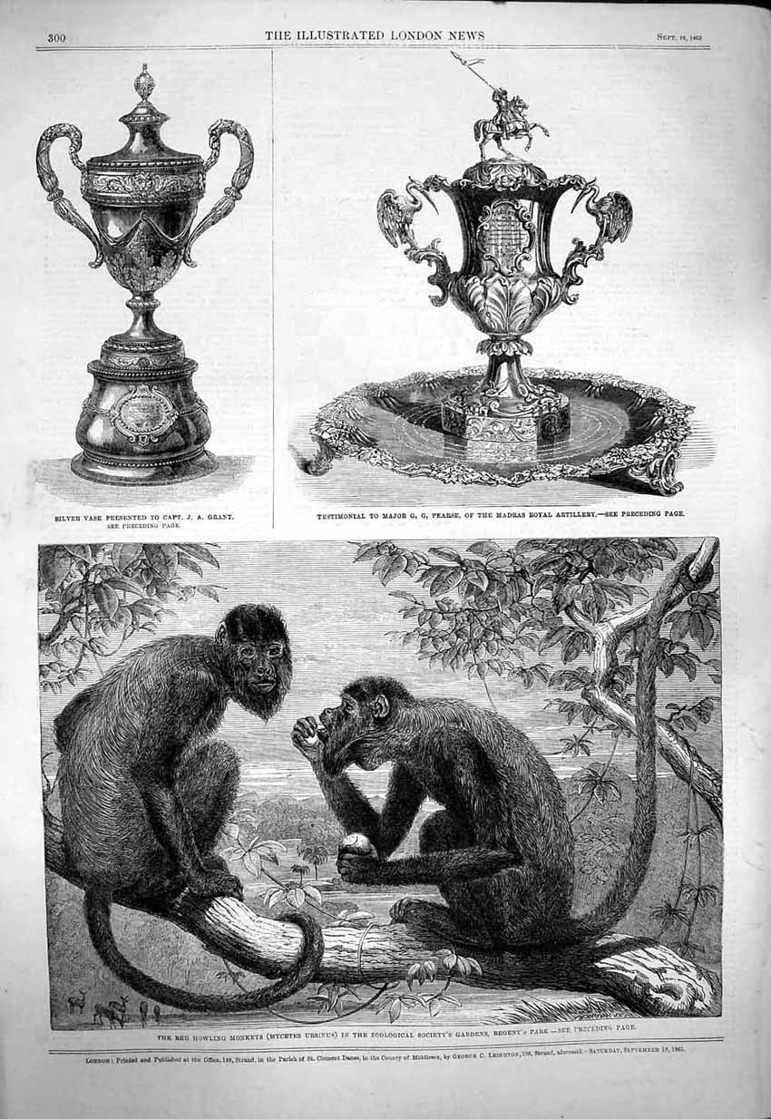 Old Antique Print 1863 Red Howling Monkeys Silver Vase Grant Major Pearse 19th