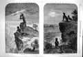 Original Old Antique Print 1863 Australia Dingoes SheepfSnake Hunting Bee 19th