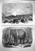 Original Old Antique Print 1863 Elephant Children India Guebers Worshipping Sun
