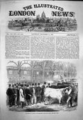 Old Antique Print 1863 Prince Wales Smithfield Club Cattle Show Animals 19th