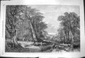 Original Old Antique Print 1864 Henry Jutsum Fine Art Woods Autumn Trees Cattle