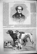 Original Old Antique Print 1864 Portrait Cooke Prize Dogs Dublin Show Victorian