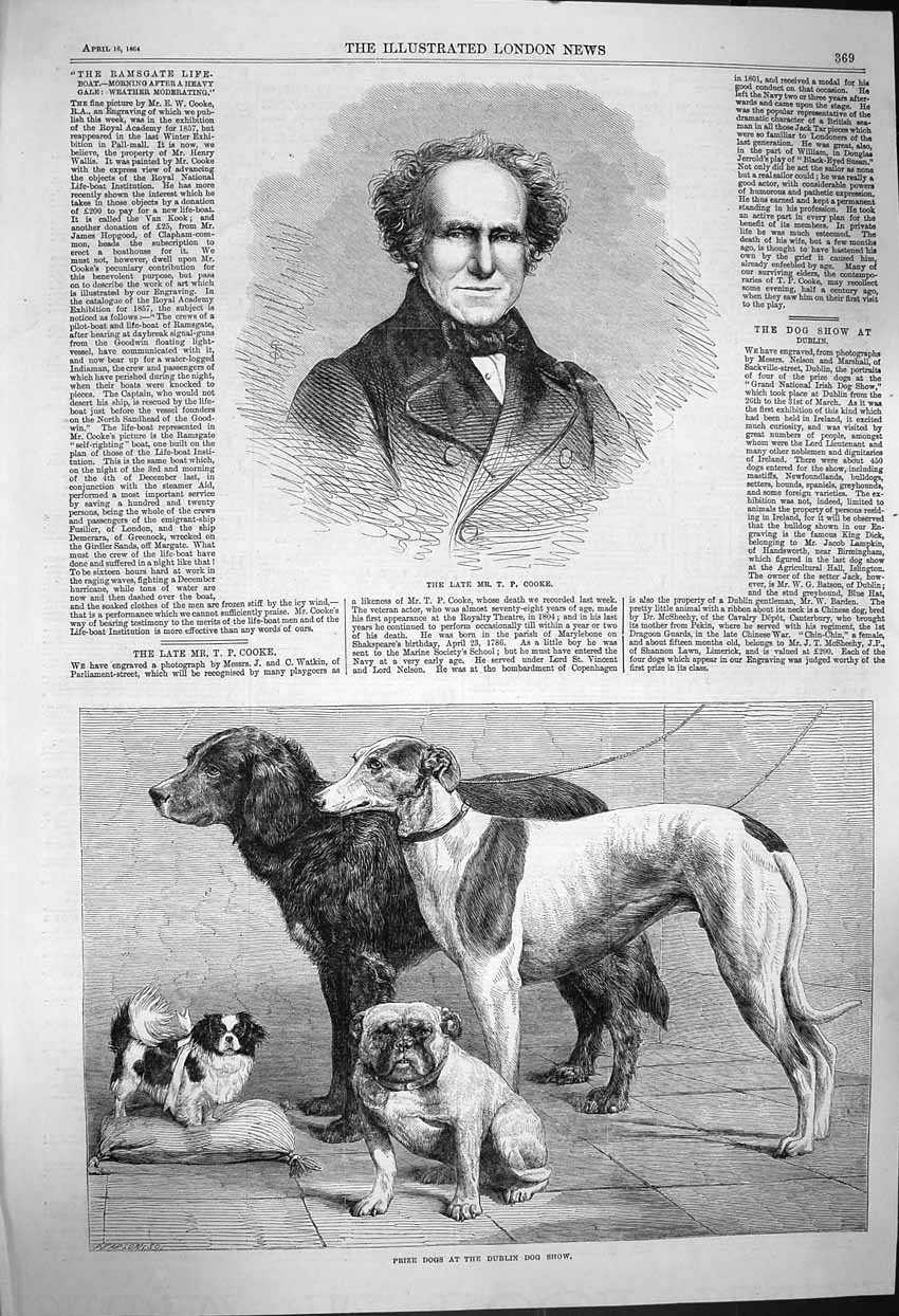 Original Old Antique Print 1864 Portrait Cooke Prize Dogs Dublin Show Victorian