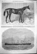Original Old Antique Print 1864 Blair Athol Horse Derby Railway Ship Avalon