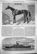 Original Old Antique Print 1864 Fille De L'Air Horse Oaks Iron Ship Rangariri