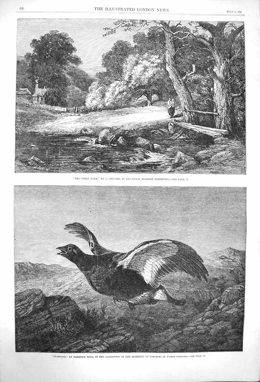 Original Old Antique Print 1864 Combe Farm Stream Bridge Pheasant Startled Weir