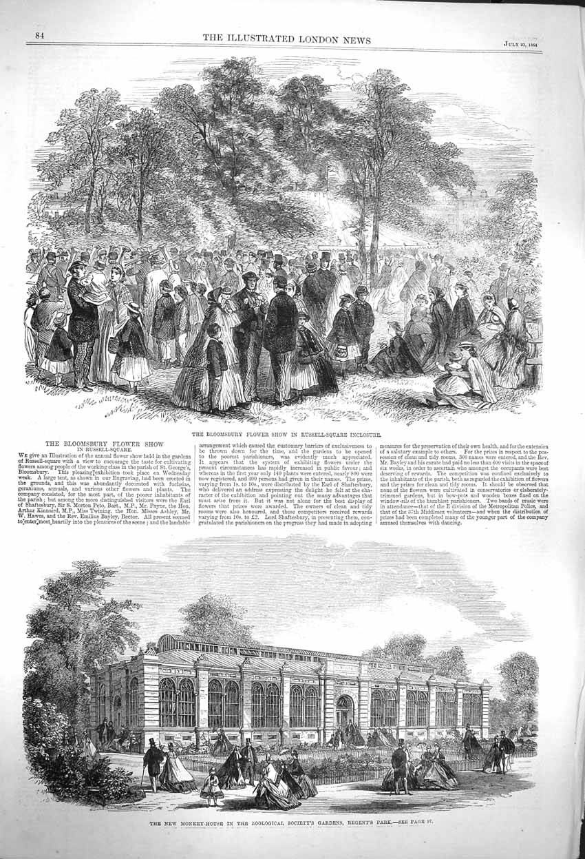 Original Old Antique Print 1864 Bloomsbury Flower Show Monkey House Zoological