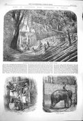 Original Old Antique Print 1864 Capturing Wild Elephants Kraal Ceylon India
