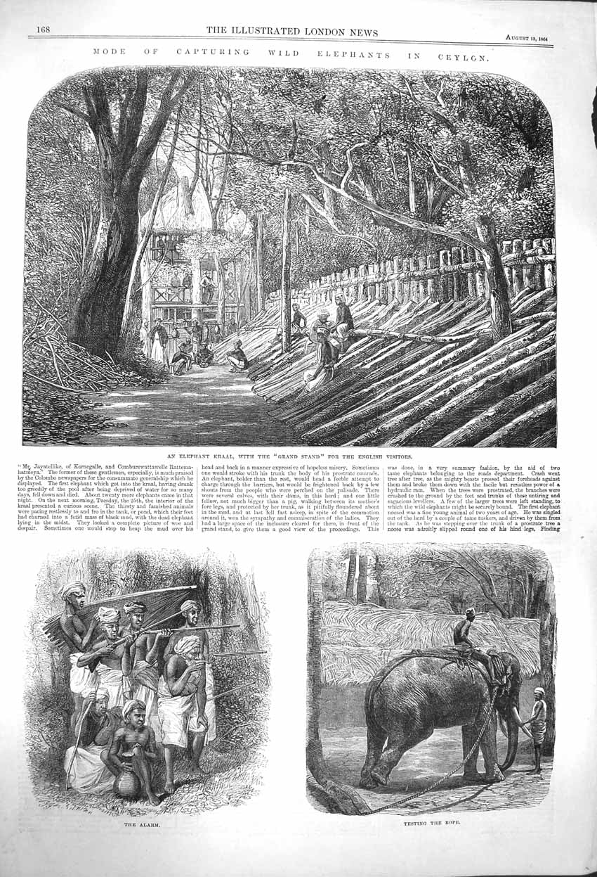 Original Old Antique Print 1864 Capturing Wild Elephants Kraal Ceylon India