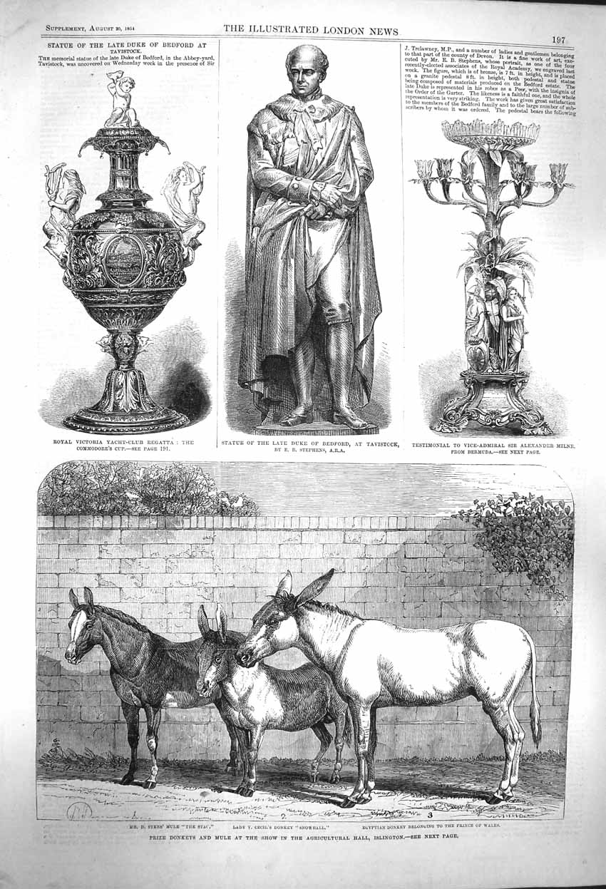 Old Antique Print 1864 Statue Duke Bedford Milne Donkeys Islington Show 19th
