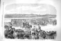 Original Old Antique Print 1864 Review Champ De Mars Paris France King Consort