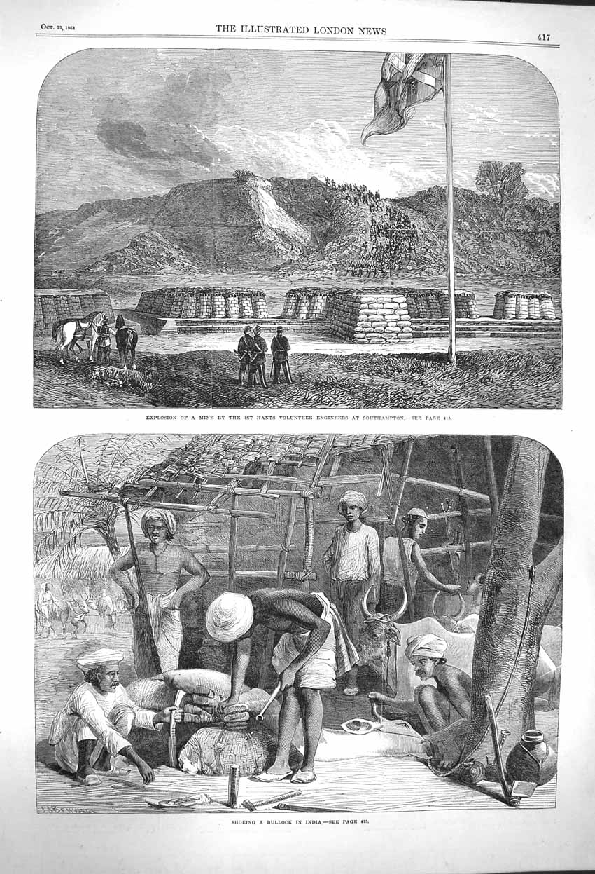 Old Antique Print 1864 Shoeing Bullock India Mine Explosion Southampton 19th