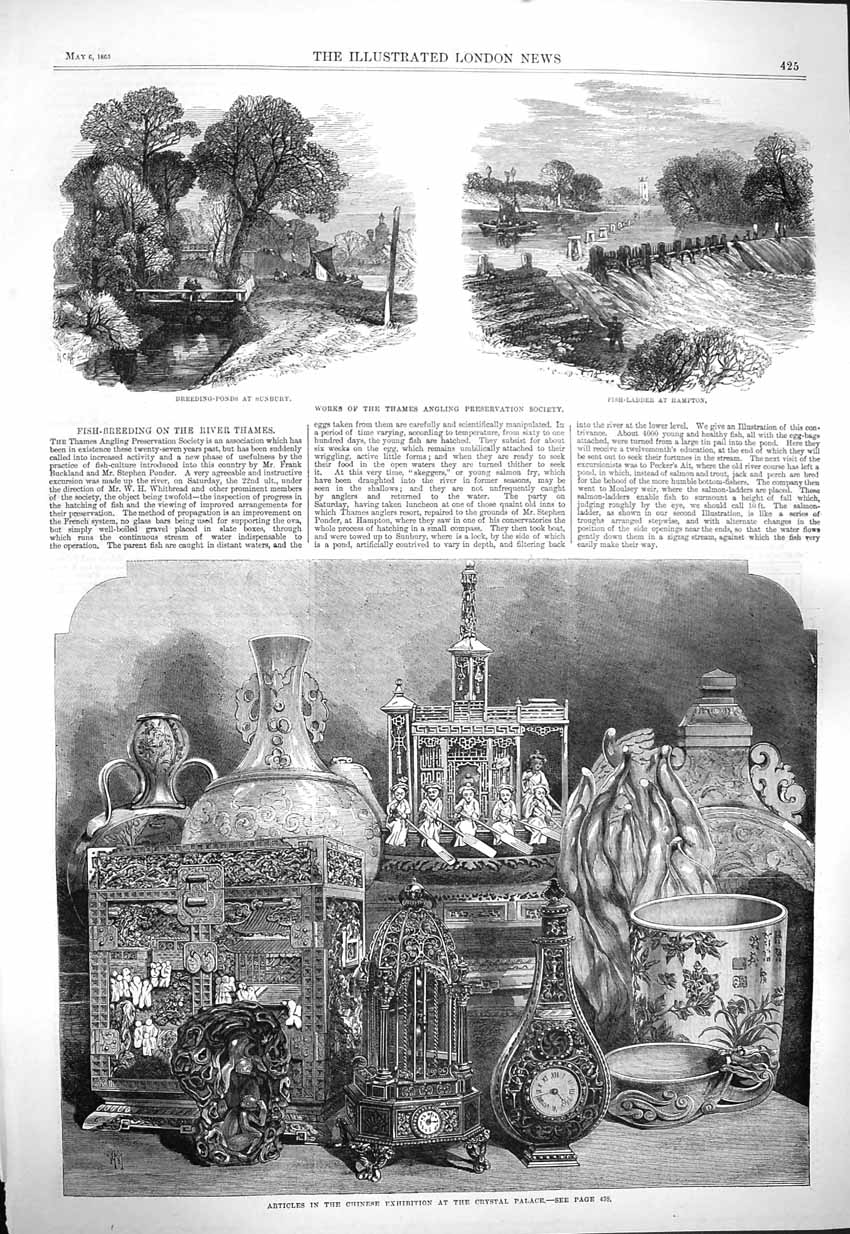 Original Old Antique Print 1865 Thames Angling Society Crystal Palace Chinese