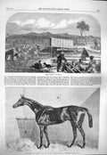 Old Antique Print 1865 Sheep Washing Australia Gladiateur Horse Newmarket 19th